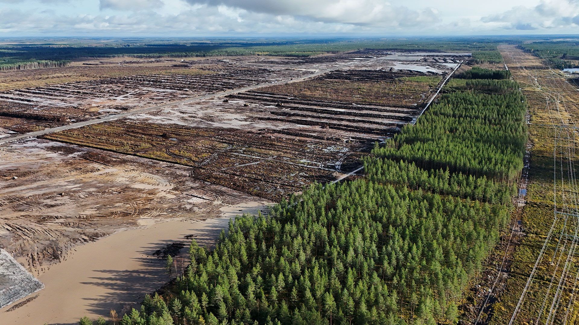 Google faces criminal probe in Finland over deforestation for AI data center