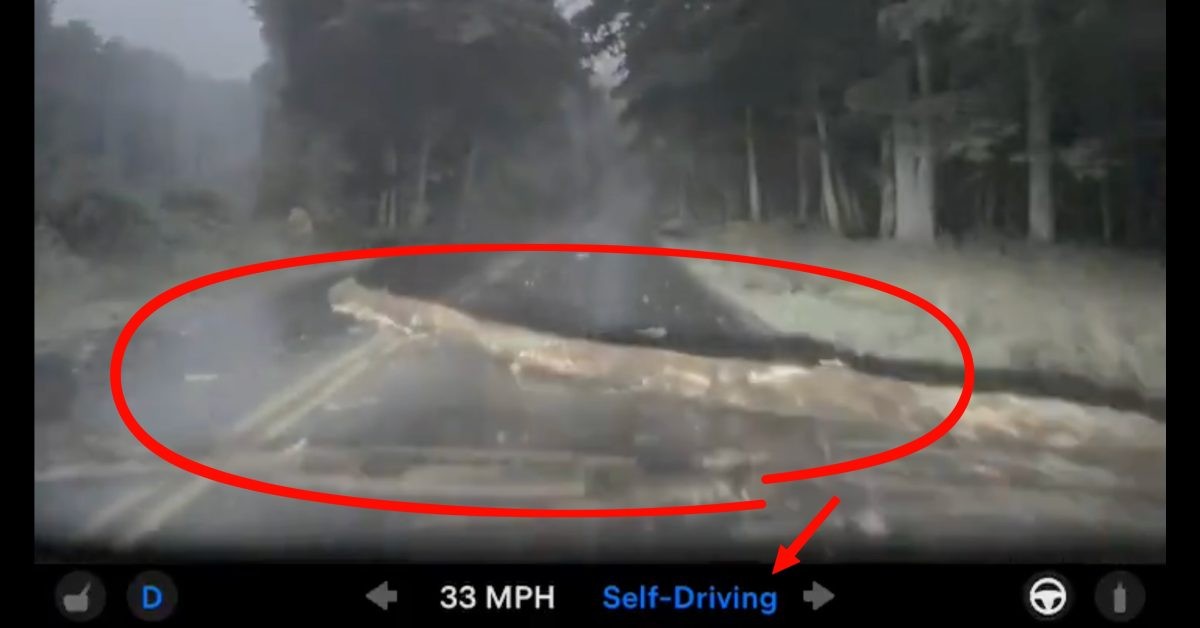 Tesla FSD v14 Lite tizimidagi jiddiy xato: mashina yo'ldagi to'siqdan to'xtamasdan o'tdi